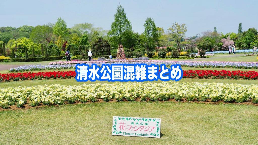 【清水公園混雑状況2024】春夏冬休み(GWお盆) &土日と平日！駐車場攻略