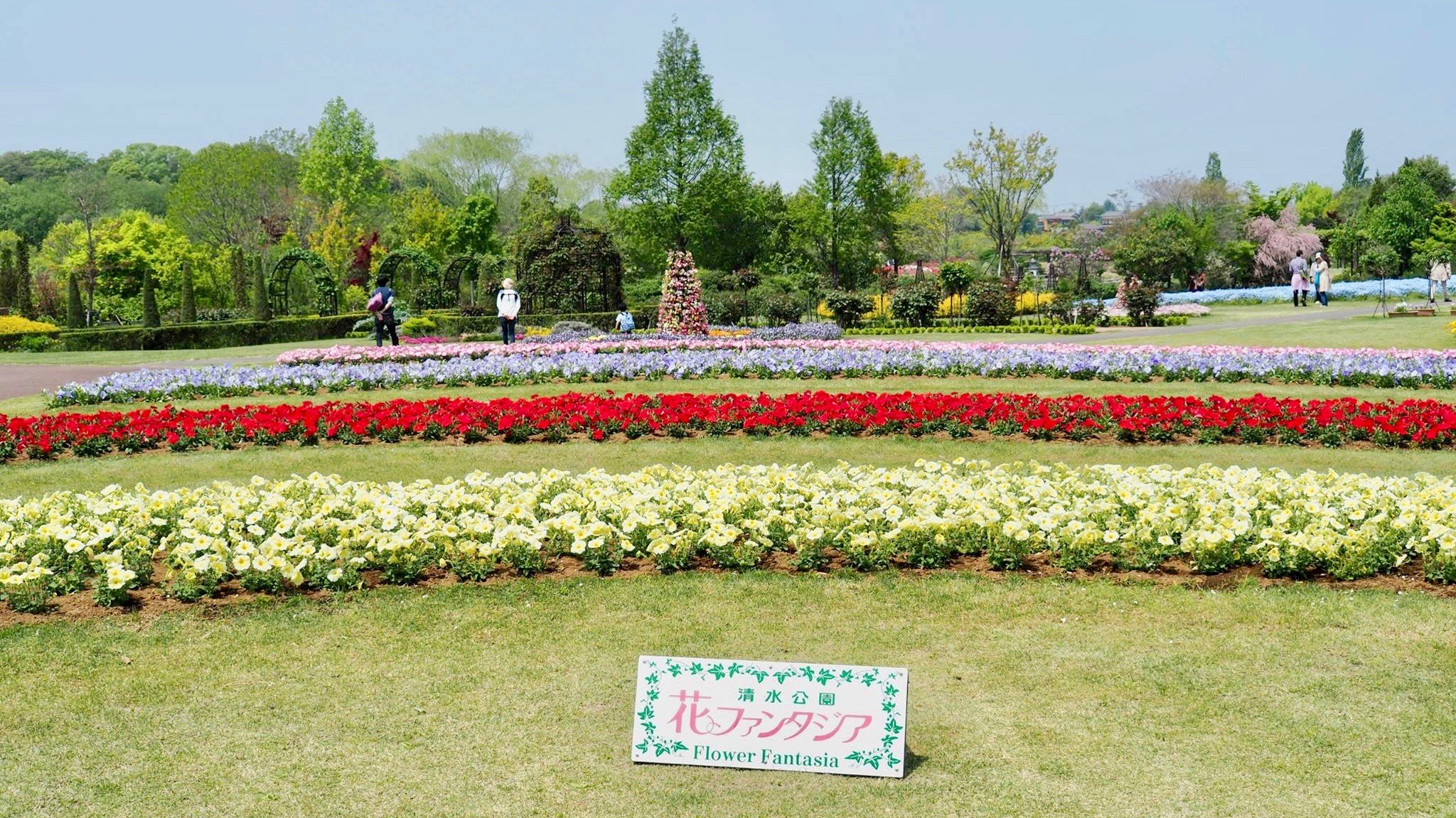 清水公園　割引