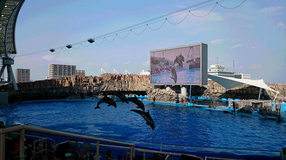 名古屋港水族館　混雑攻略