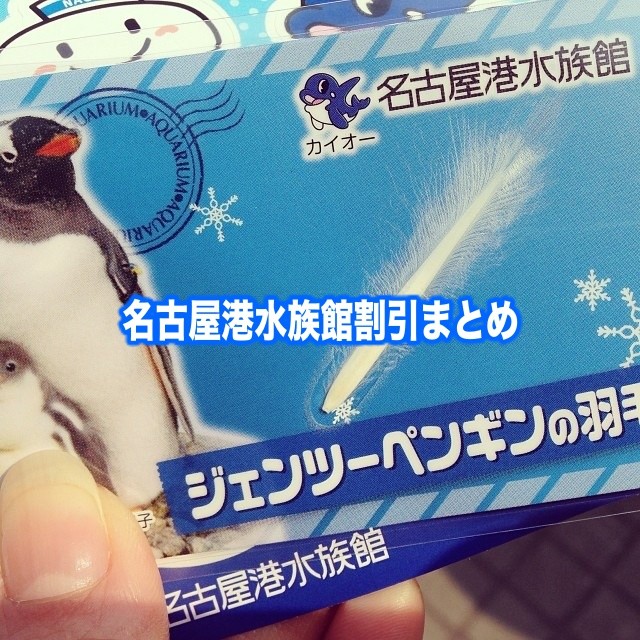 【名古屋港水族館割引】2024年最安値クーポン券(無料開放)はココ！安いチケット料金23選