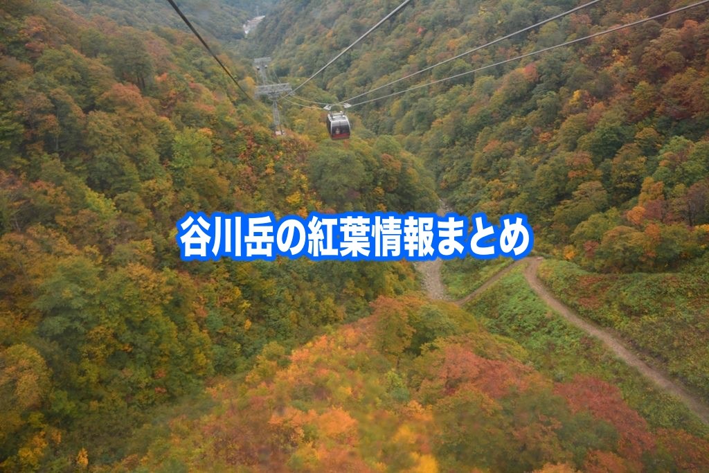 谷川岳　紅葉