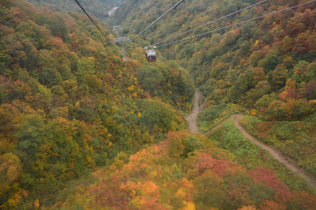 谷川岳ロープウェイ　混雑