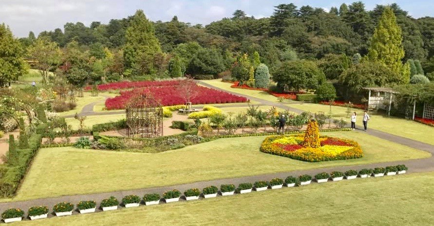 清水公園　割引　まとめ