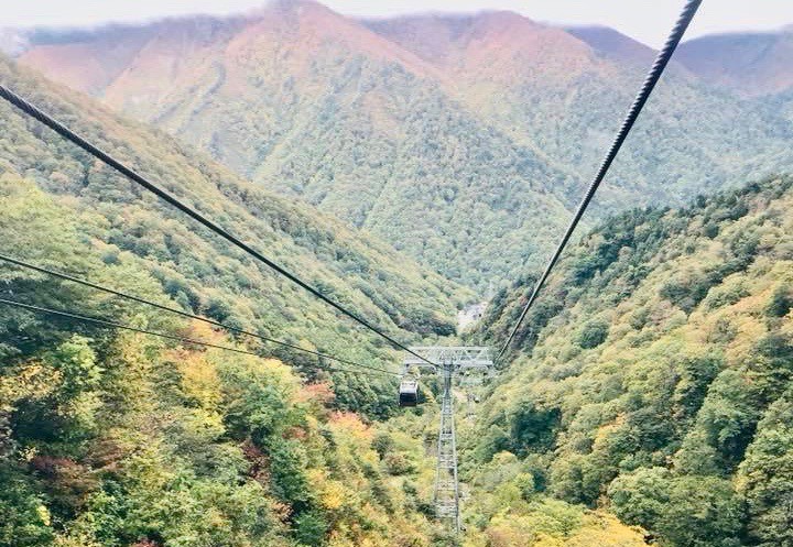 谷川岳　紅葉　ロープウェイ