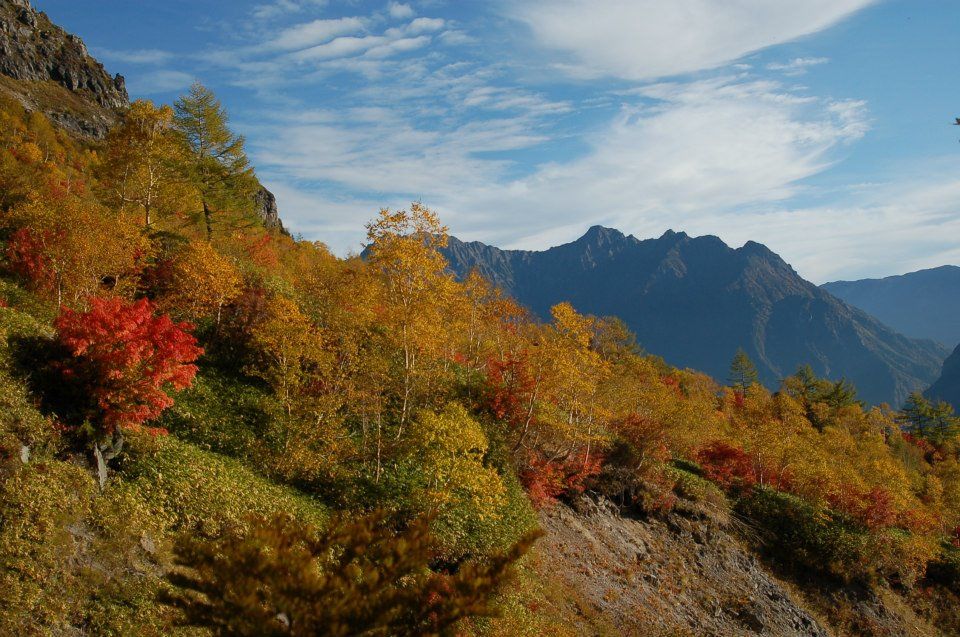 新穂高　紅葉　登山