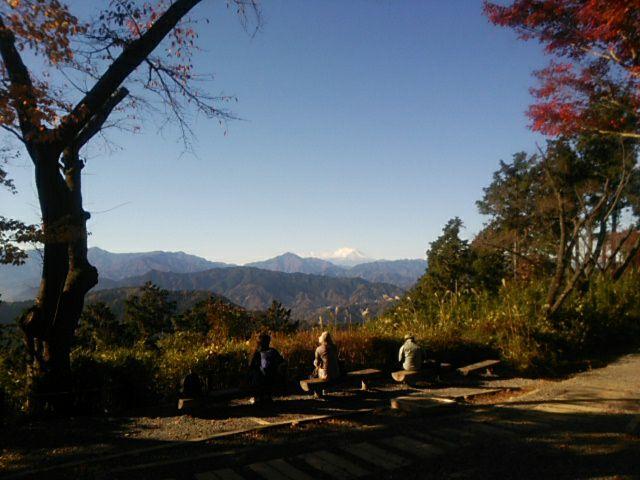 高尾山　もみじ台　混雑