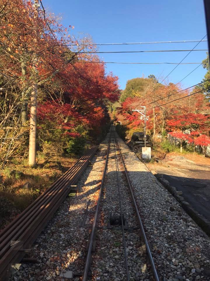 筑波山　紅葉　ケーブルカー混雑