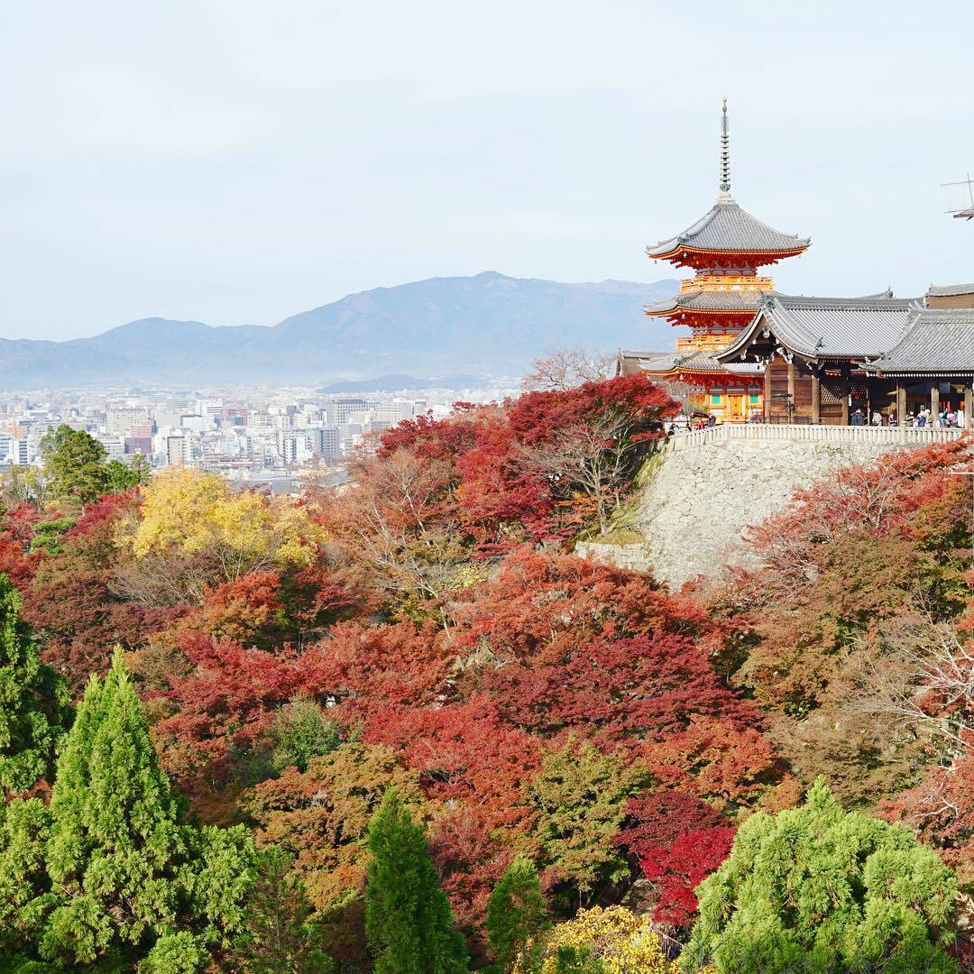 京都　清水寺　紅葉