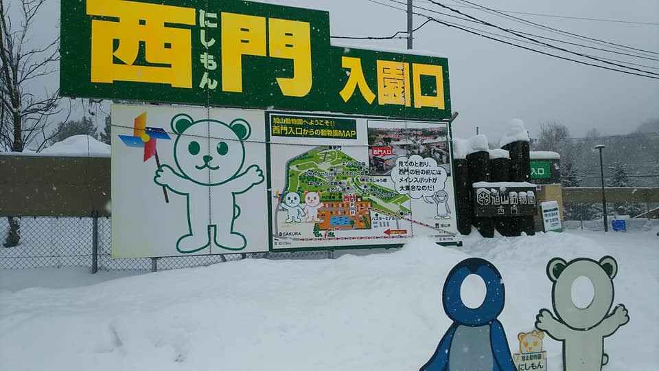 旭山動物園　渋滞　混雑