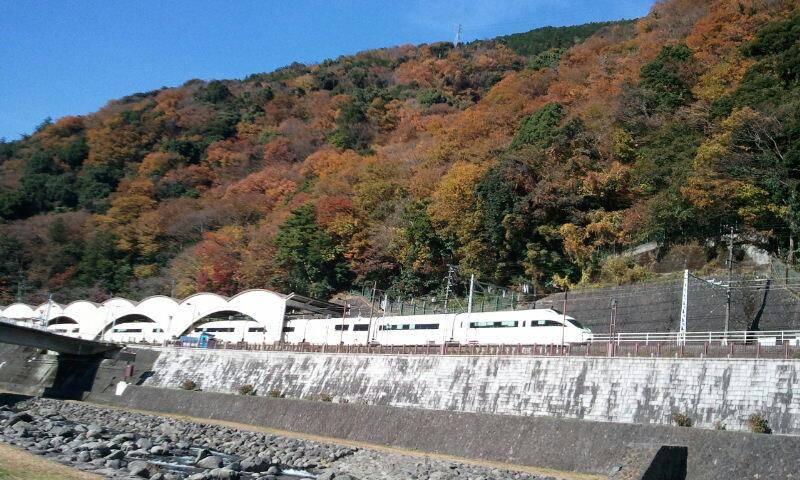 箱根　紅葉　混雑　まとめ