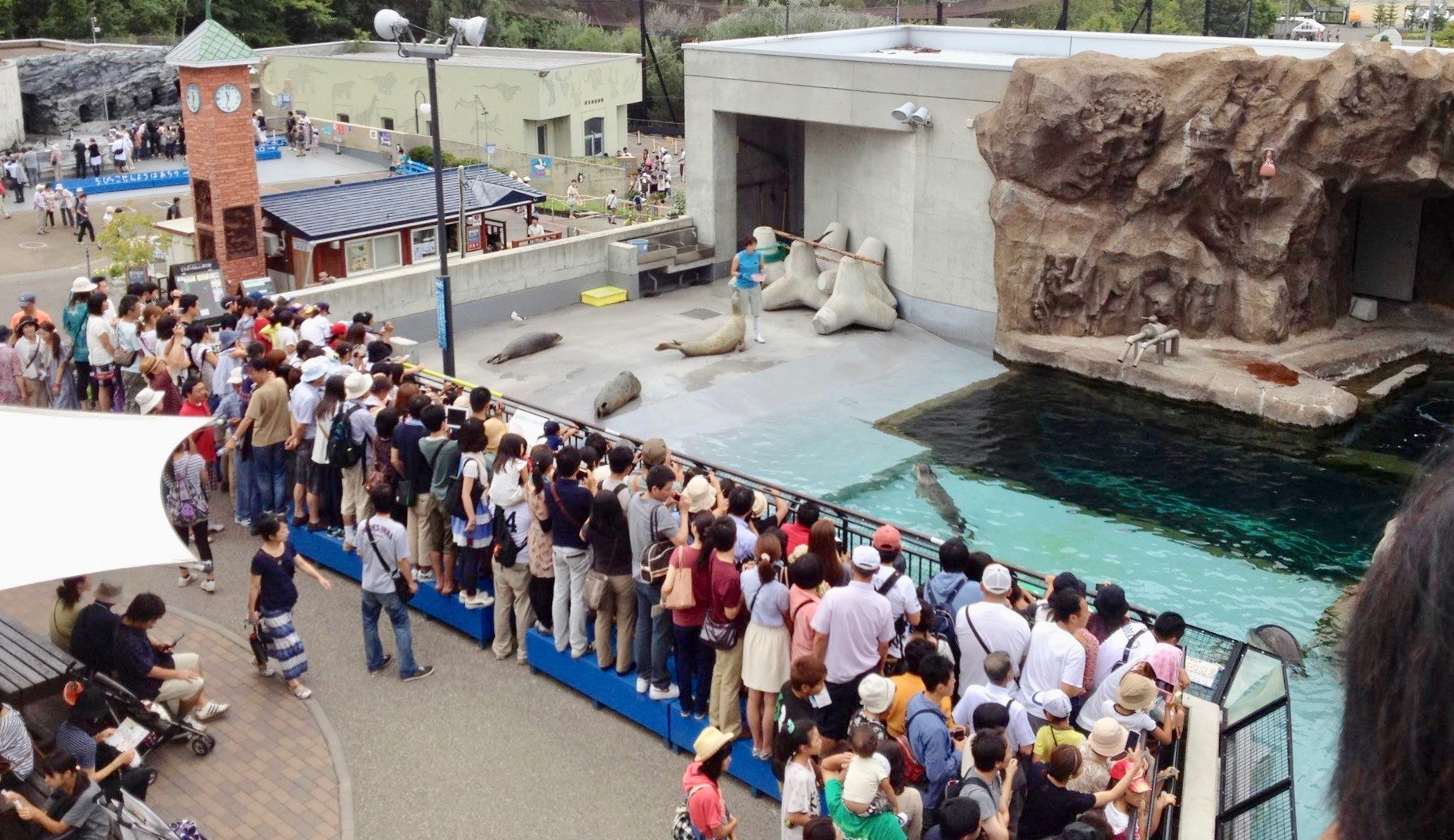 旭山動物園　混雑