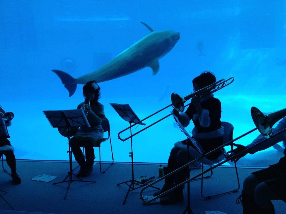 名古屋港水族館　割引　まとめ