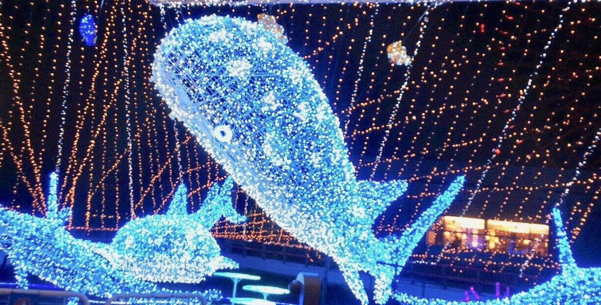 海遊館　クリスマス　混雑