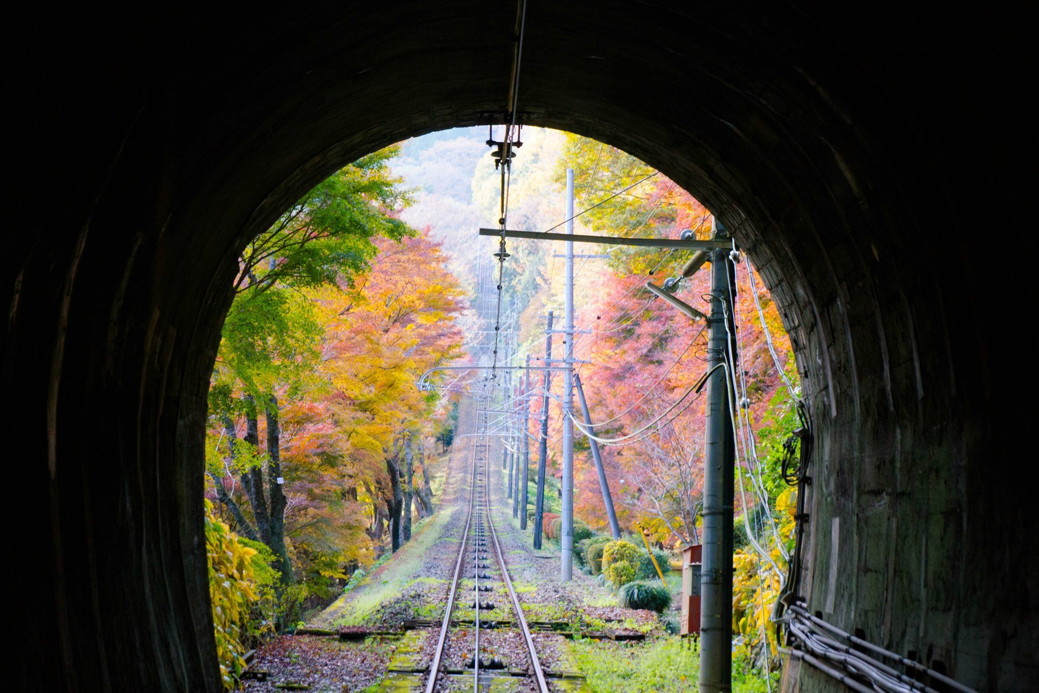 高尾山　紅葉　ケーブルカー　混雑