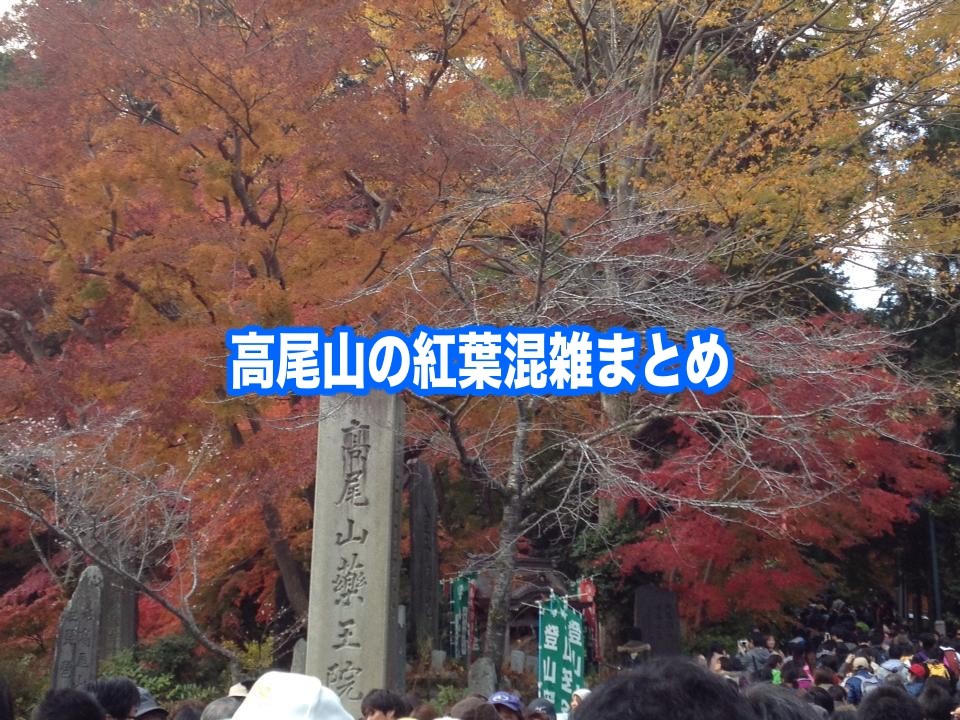 【高尾山の紅葉混雑状況2024】 平日&土日！駐車場とケーブルカー(リフト)混雑回避