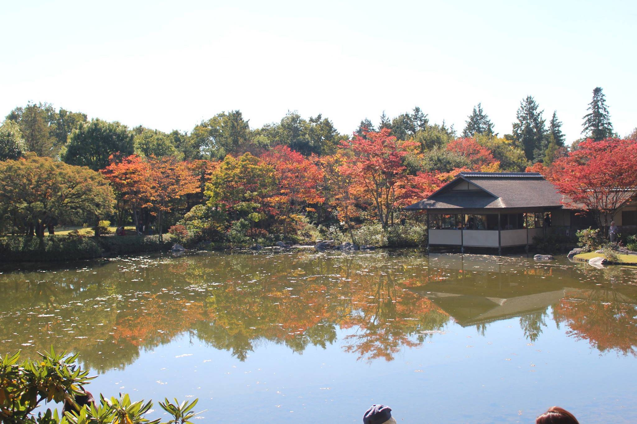 昭和記念公園　駐車場の混雑