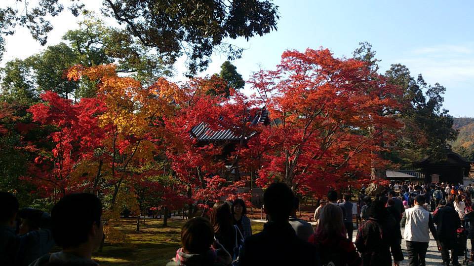 金閣寺　紅葉　混雑