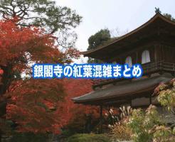 銀閣寺　紅葉　混雑