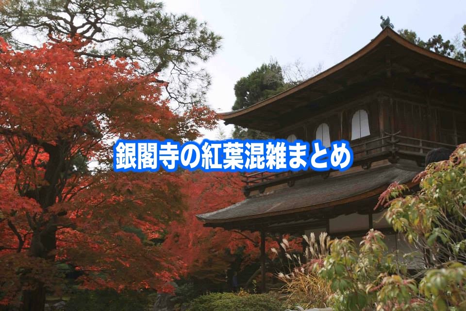 【銀閣寺の紅葉混雑状況2024】平日・土日の見頃時期&ライトアップ！駐車場情報