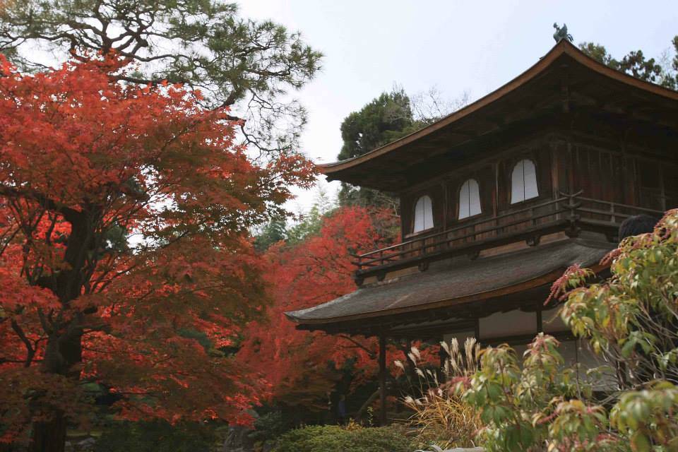 金閣寺　銀閣寺　紅葉　混雑　まとめ