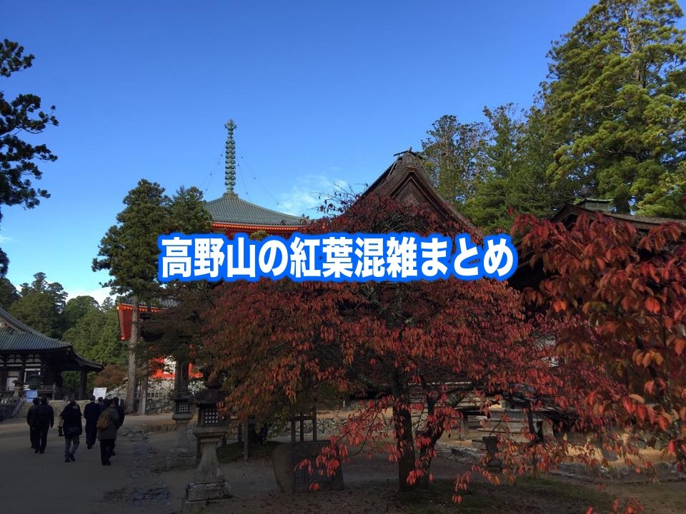 【高野山の紅葉混雑予想2024】見頃時期の平日・土日！駐車場情報