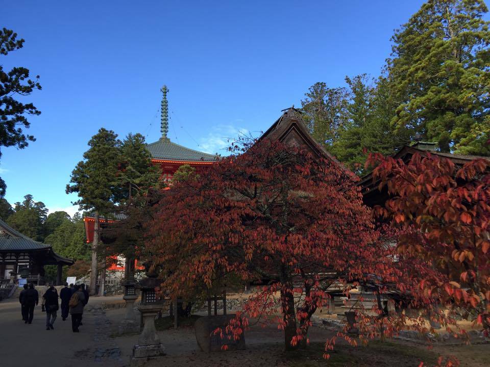 高野山　紅葉　混雑