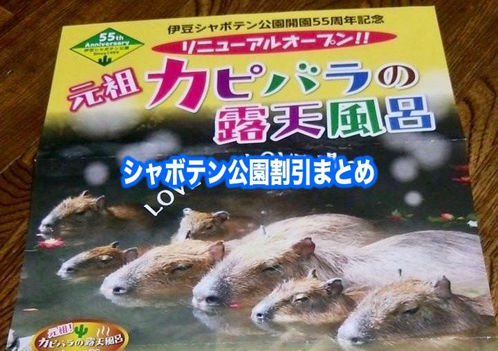 【シャボテン動物公園割引2024】最安値料金は？12クーポン格安入手法