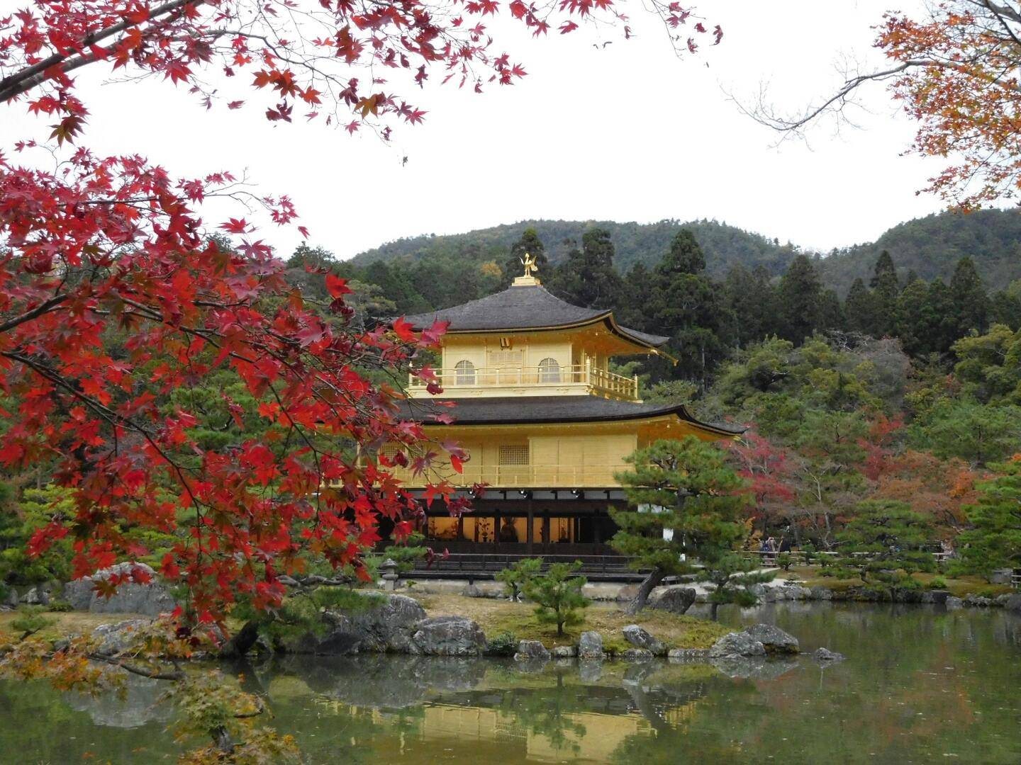 金閣寺　紅葉　混雑