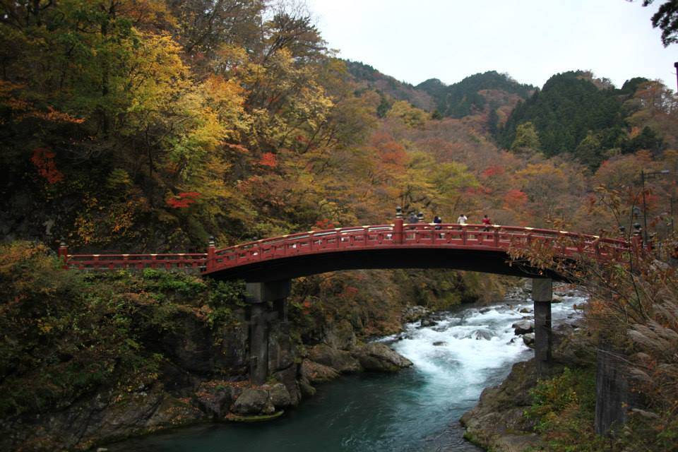 日光　紅葉　混雑