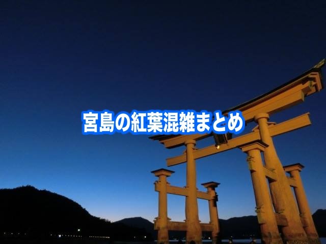 【宮島の紅葉混雑状況2024】平日・土日の見頃(11月)時期！駐車場情報