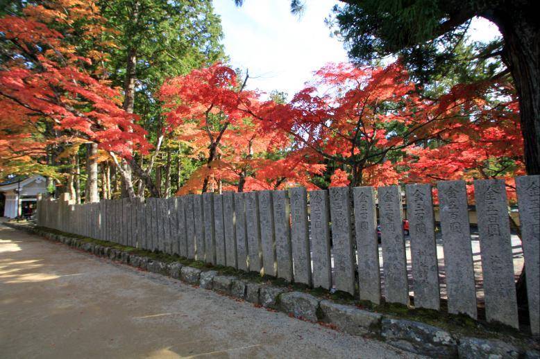 高野山　紅葉　混雑