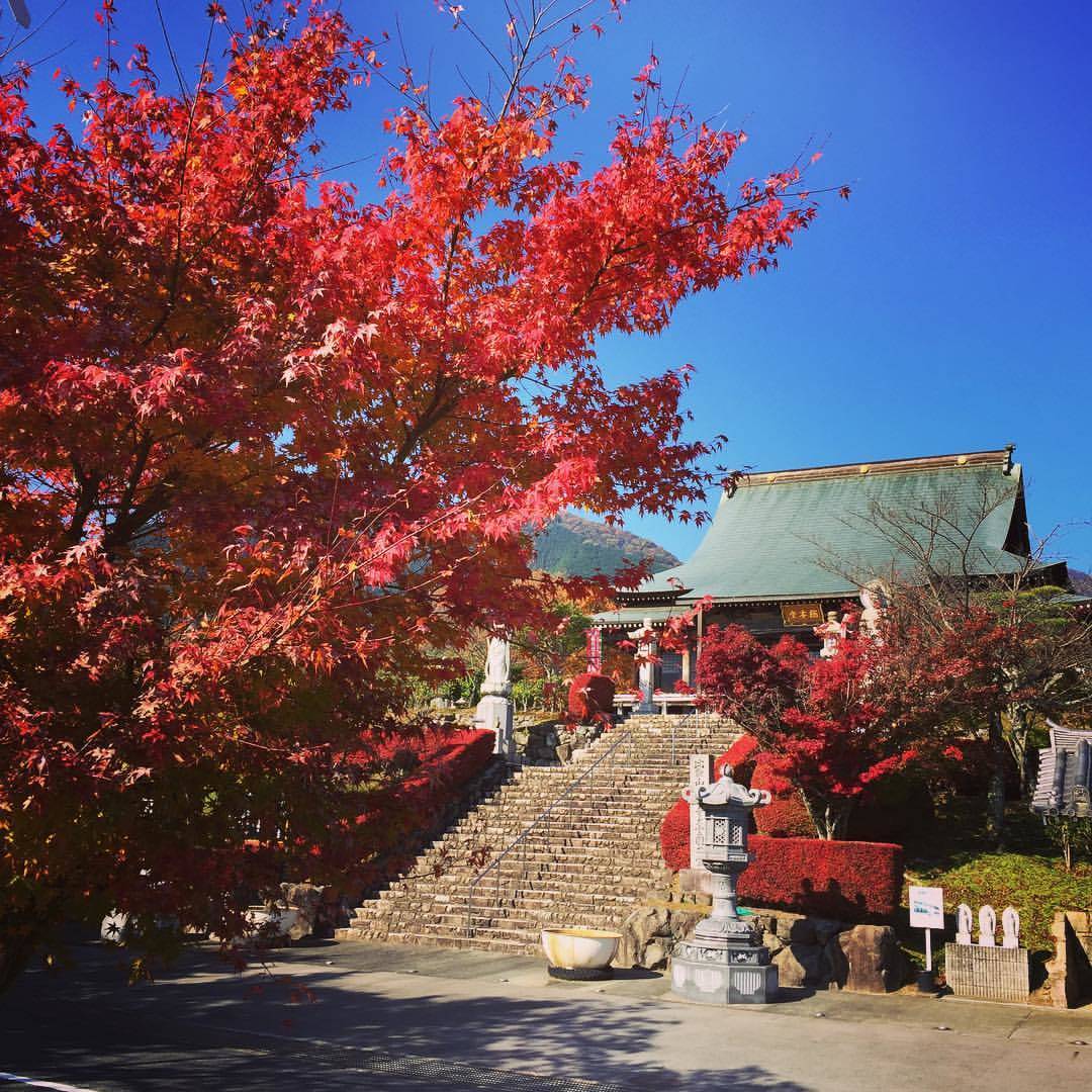 比叡山　紅葉　混雑