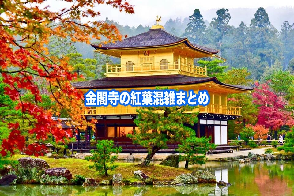 【金閣寺の紅葉混雑状況2024】平日・土日の見頃時期&ライトアップ！駐車場情報