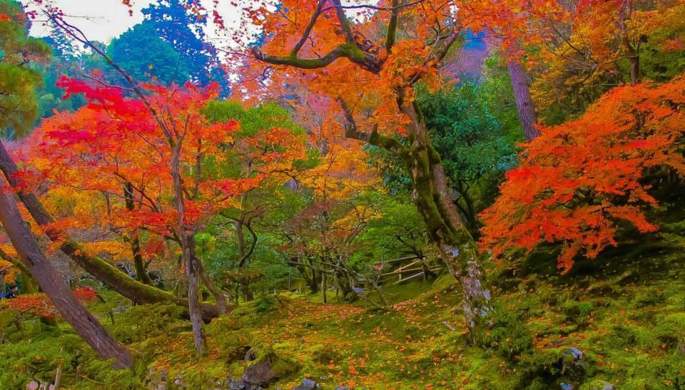 銀閣寺　紅葉　混雑