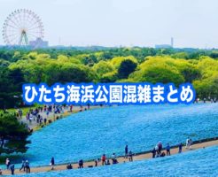 ひたち海浜公園　混雑