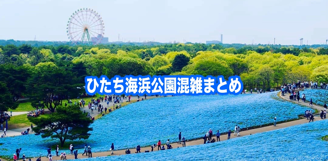 ひたち海浜公園　混雑