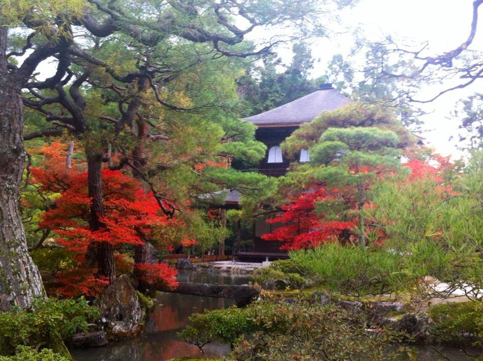 銀閣寺　紅葉　混雑