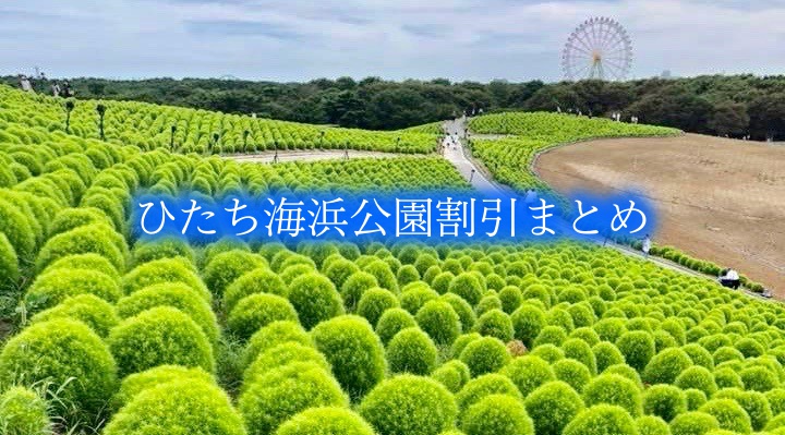 【ひたち海浜公園プレジャーガーデン割引券2024】最安値料金は？12クーポン格安入手法