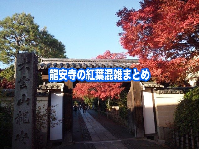 【龍安寺の紅葉混雑状況2024】 平日・土日(見頃時期&ライトアップ )駐車場情報