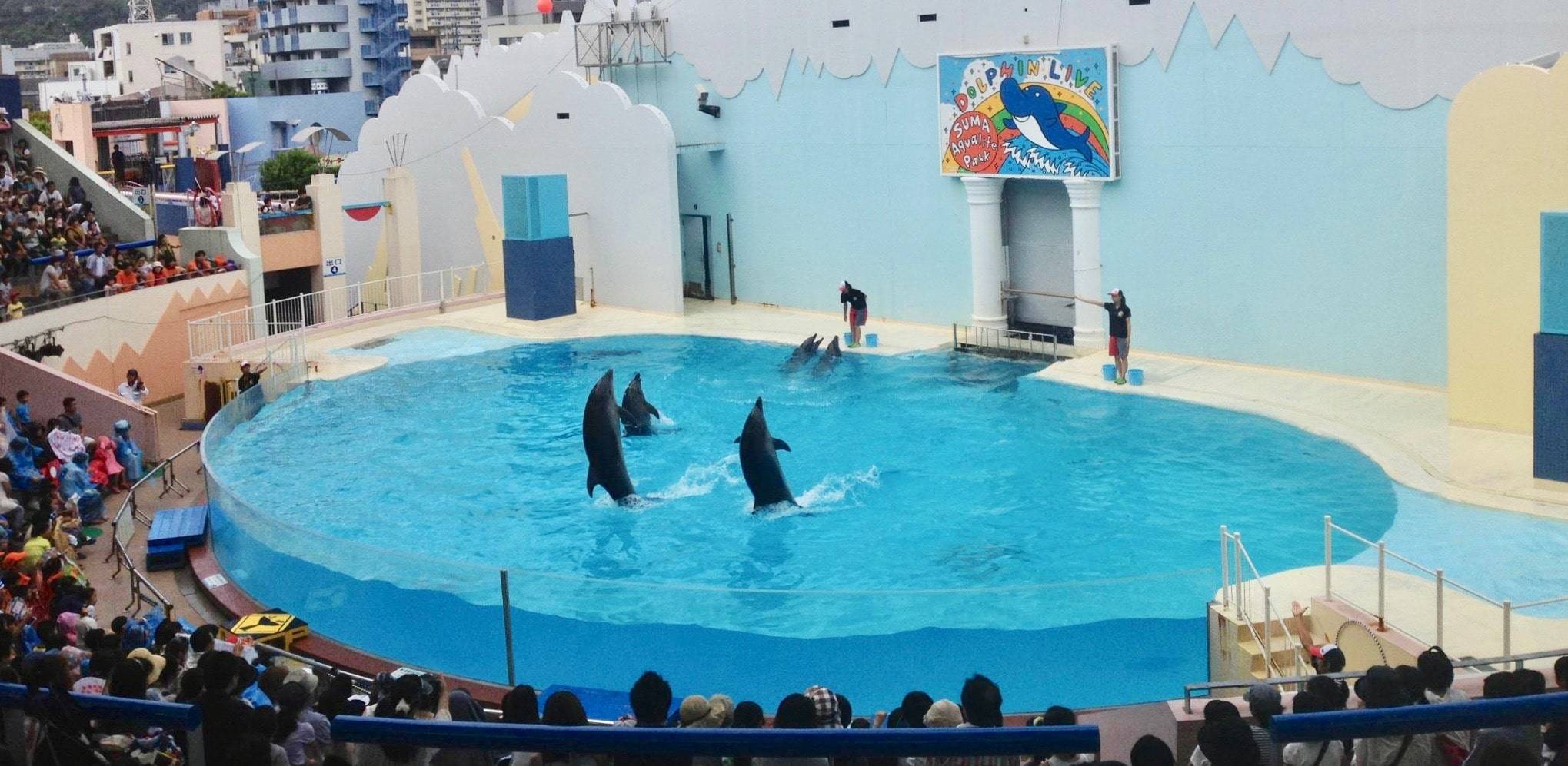 須磨水族館　割引