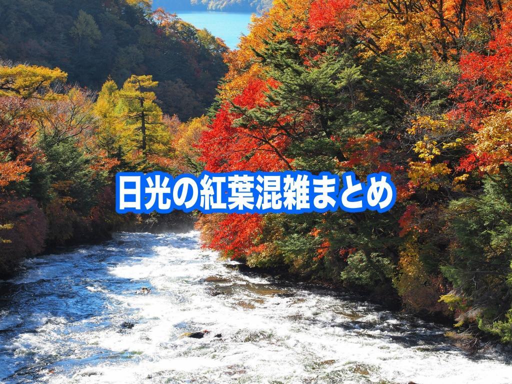 【日光の紅葉混雑状況2024】 平日・土日(見頃時期)！いろは坂渋滞回避法