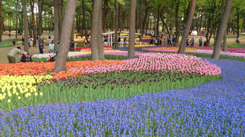 ひたち海浜公園