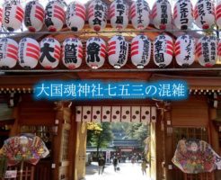 大国魂神社　七五三　混雑