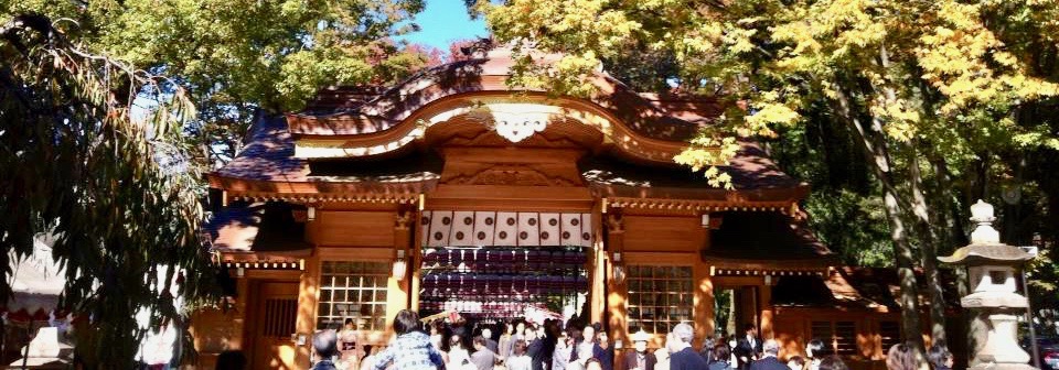 大国魂神社　七五三