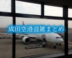 成田空港　混雑