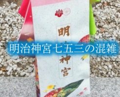 明治神宮　七五三　混雑