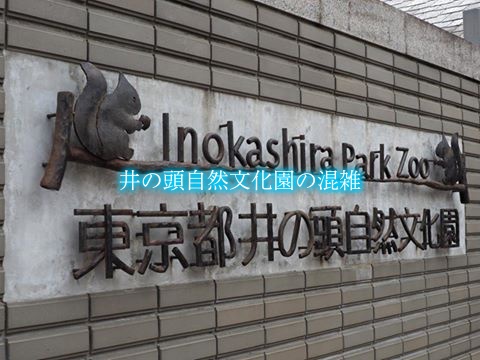 井の頭自然文化園　混雑