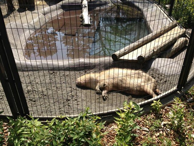 井の頭自然文化園