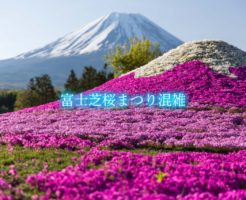 富士芝桜まつり