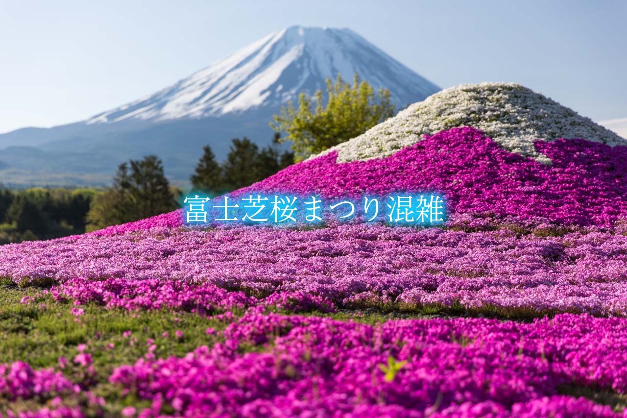 富士芝桜まつり